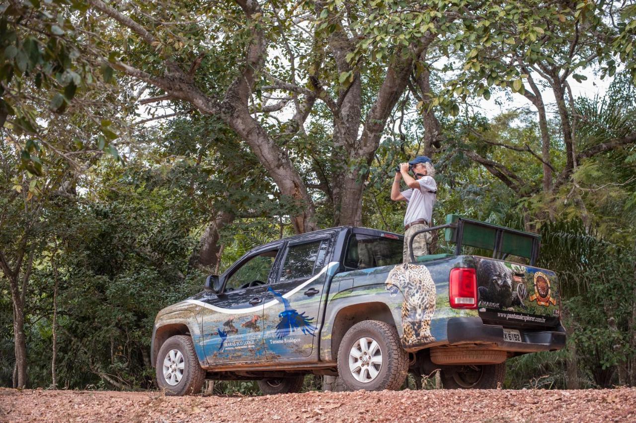 Pousada Araras Pantanal Eco Lodge Carvoalzinho エクステリア 写真