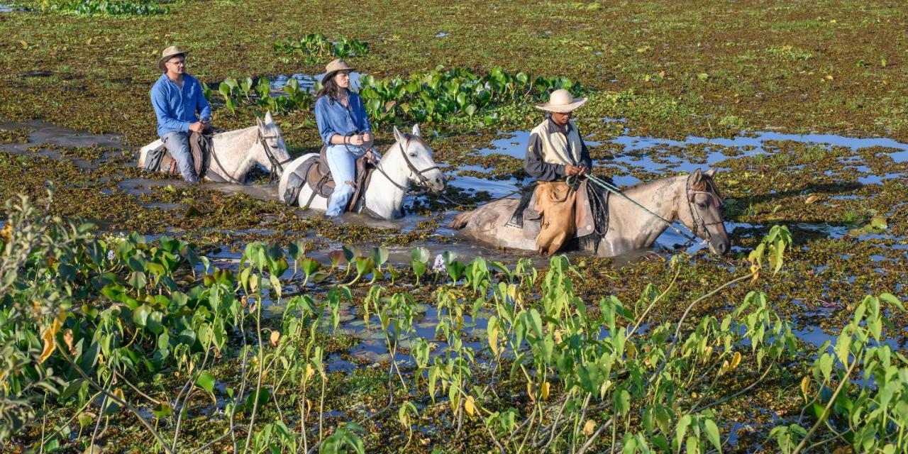 Pousada Araras Pantanal Eco Lodge Carvoalzinho エクステリア 写真