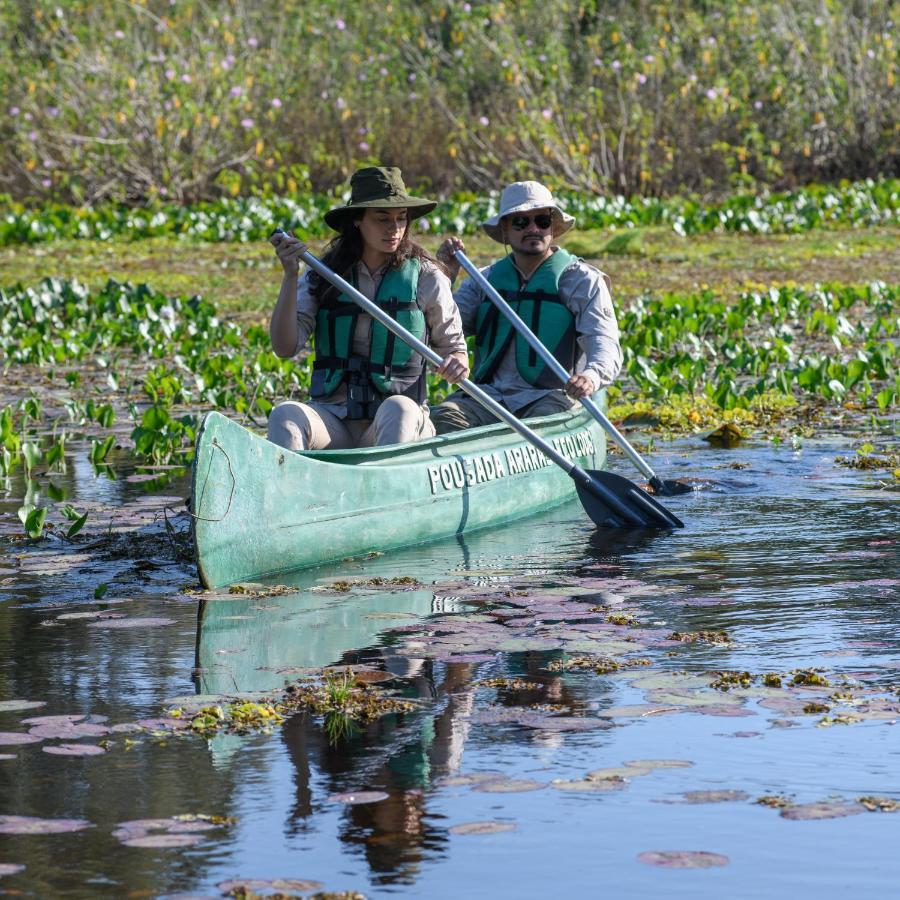 Pousada Araras Pantanal Eco Lodge Carvoalzinho エクステリア 写真