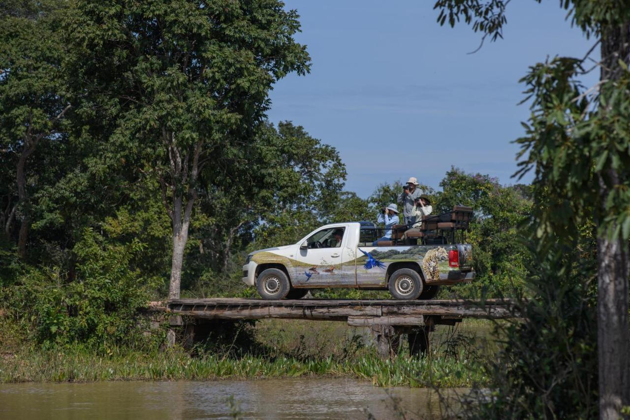 Pousada Araras Pantanal Eco Lodge Carvoalzinho エクステリア 写真