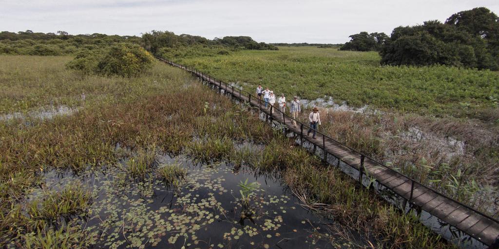 Pousada Araras Pantanal Eco Lodge Carvoalzinho エクステリア 写真