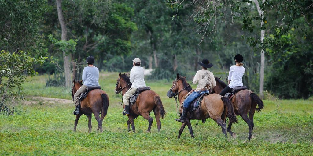 Pousada Araras Pantanal Eco Lodge Carvoalzinho エクステリア 写真