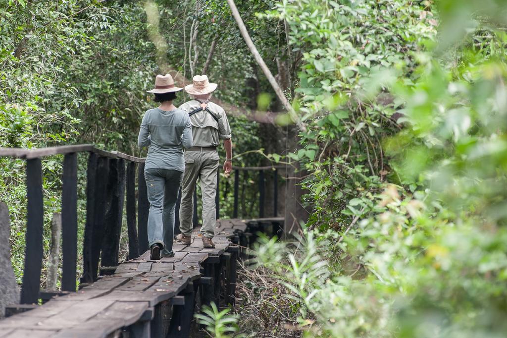 Pousada Araras Pantanal Eco Lodge Carvoalzinho エクステリア 写真