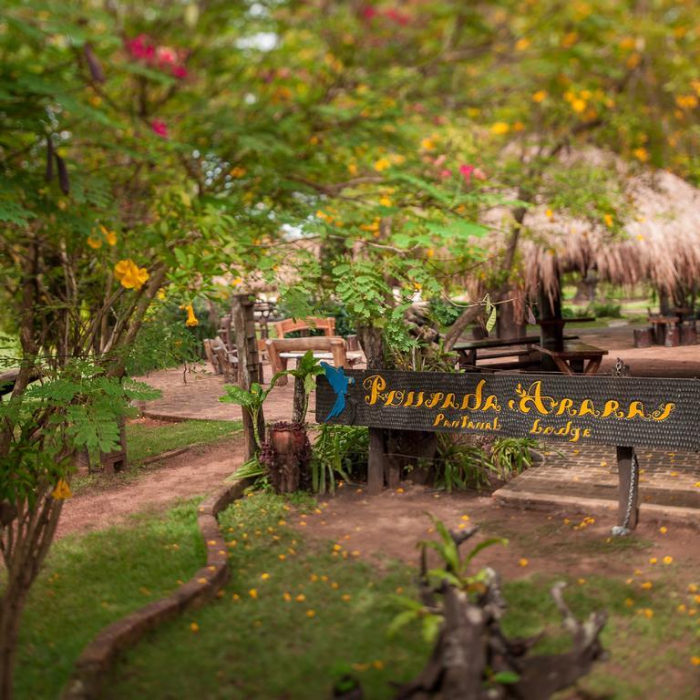 Pousada Araras Pantanal Eco Lodge Carvoalzinho エクステリア 写真