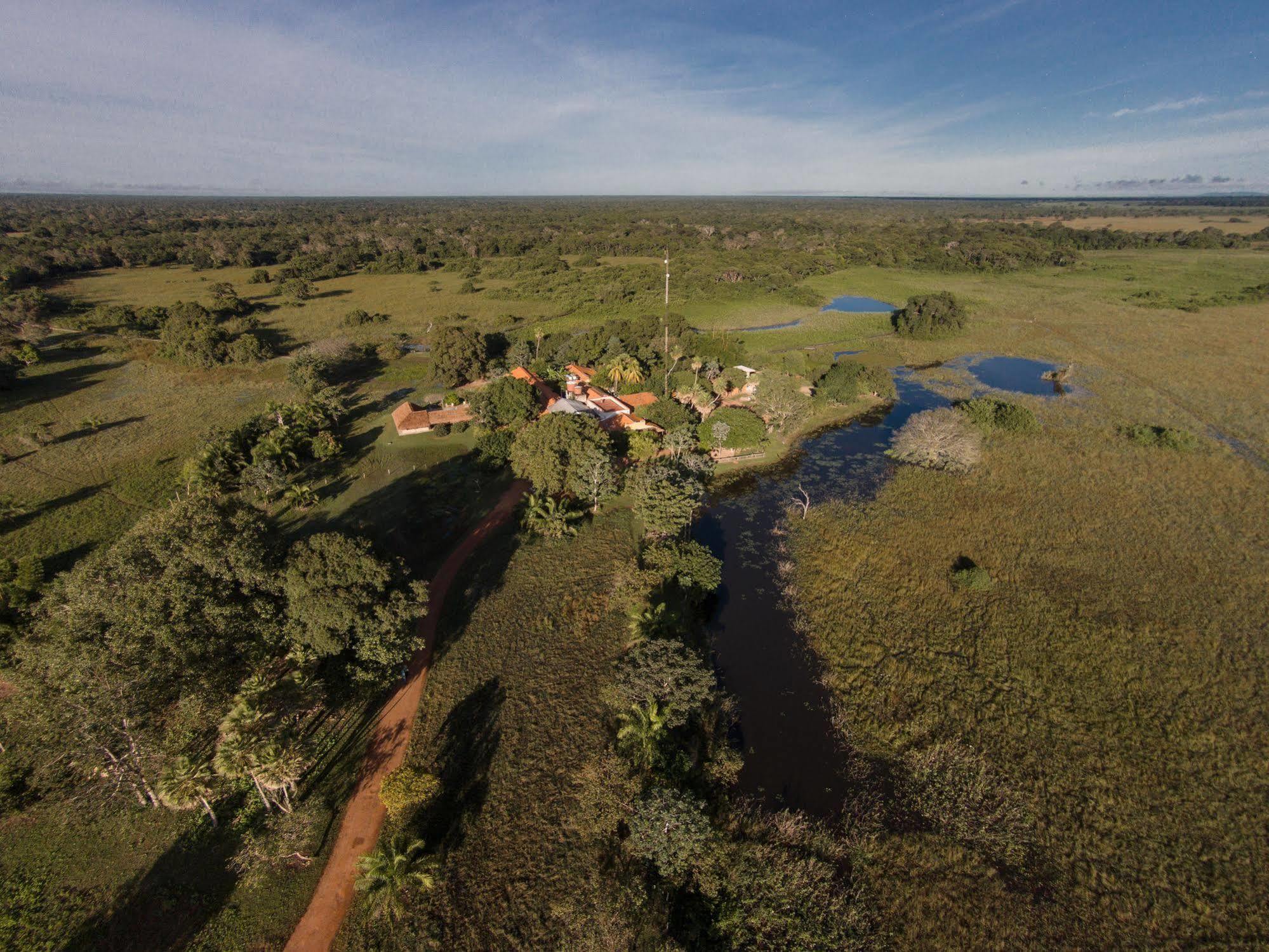 Pousada Araras Pantanal Eco Lodge Carvoalzinho エクステリア 写真